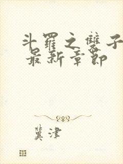 斗罗之双子斗罗 最新章节