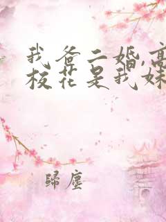 我爸二婚,高冷校花是我妹完结版