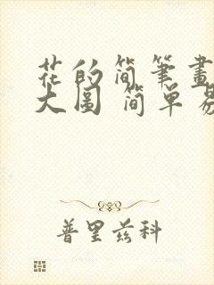 花的简笔画大全大图 简单易学