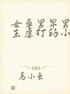 女尊男卑男被女主虐打的小说