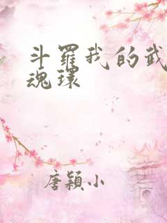 斗罗我的武魂是魂环