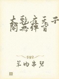 大乾夜天子笔趣阁无弹窗