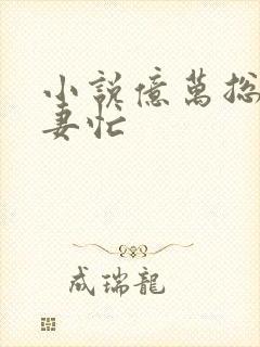 小说亿万总裁追妻忙