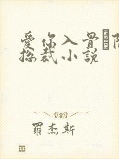 爱你入骨·隐婚总裁小说