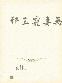 邪王宠妻无度全