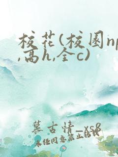 校花(校园np,高h,全c)