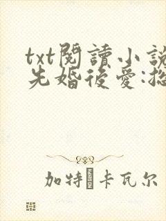 txt阅读小说先婚后爱:总裁老公狂宠妻