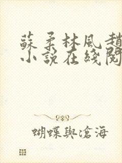 苏柔林风赵刚的小说在线阅读8