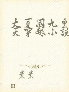 大夏国九皇子夏天穿越小说