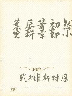 叶辰萧初然最新更新章节小说下载