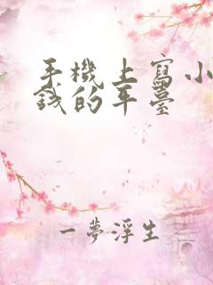 手机上写小说赚钱的平台