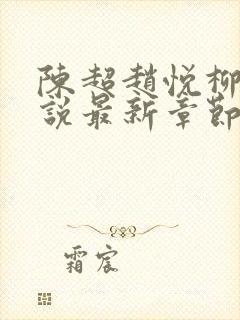 陈超赵悦柳絮小说最新章节
