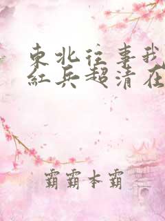 东北往事我叫赵红兵超清在线观看