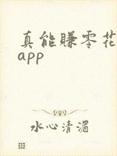 真能赚零花钱的app