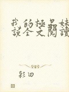 我的极品妹妹小说全文阅读