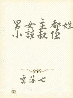 男女主都姓顾的小说叔侄