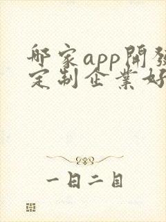 哪家app开发定制企业好