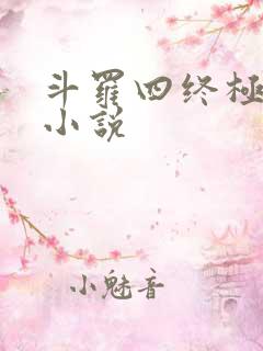 斗罗四终极斗罗小说