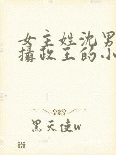 女主姓沈男主是摄政王的小说