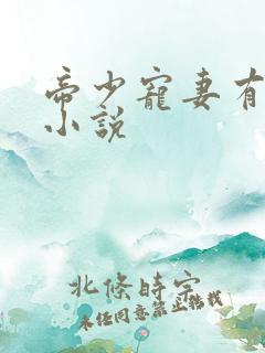 帝少宠妻有点甜小说