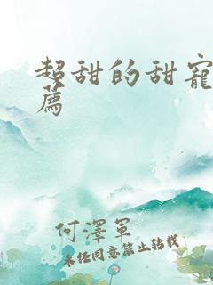 超甜的甜宠剧推荐