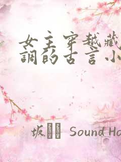 女主穿越藏拙低调的古言小说