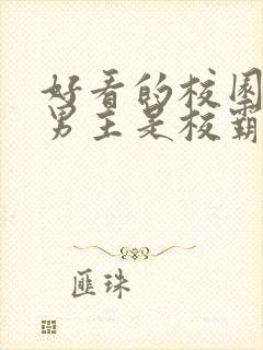 好看的校园小说男主是校霸