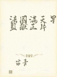 法国满天星高压监狱正片