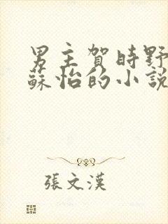 男主贺时野女主苏怡的小说