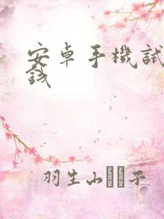 安卓手机试玩赚钱