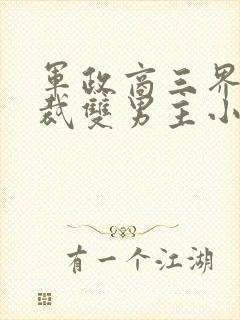 军政商三界的总裁双男主小说