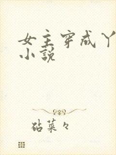 女主穿成丫鬟的小说