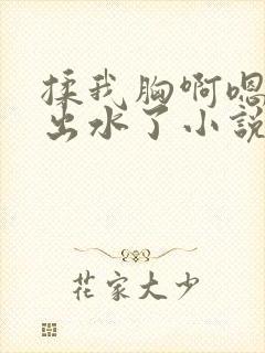 揉我胸啊嗯~啊出水了小说