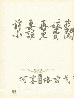 前妻再嫁我一次小说免费阅读