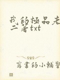 我的极品老婆小二著txt
