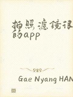 拍照滤镜很好看的app