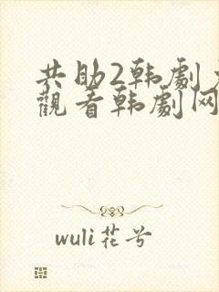 共助2韩剧免费观看韩剧网