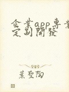 企业app专业定制开发