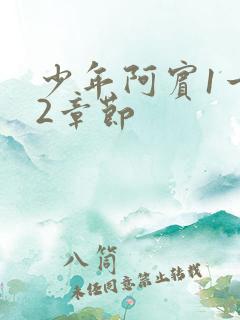 少年阿宾1一72章节