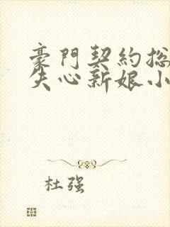 豪门契约总裁的失心新娘小说