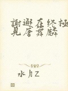 谢邂在终极斗罗见唐舞麟