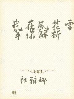 我在风花雪月里等你解析