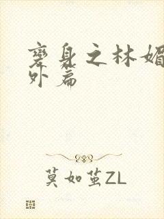 变身之林媚儿番外篇