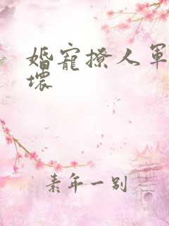 婚宠撩人军长坏坏