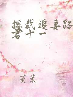 总裁追妻路漫漫君十一