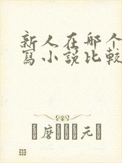 新人在哪个平台写小说比较好