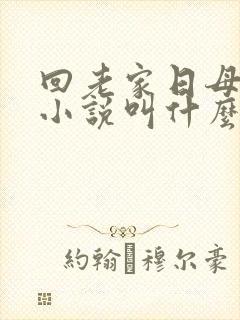 回老家日母原著小说叫什么名字