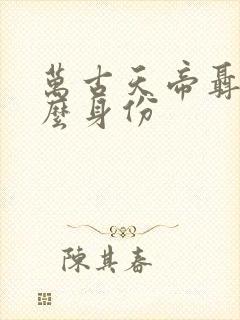 万古天帝聂天什么身份