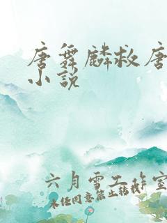 唐舞麟救唐晨的小说