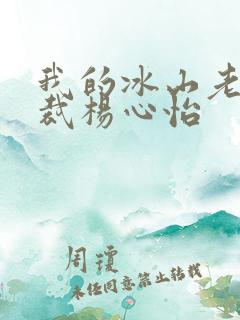 我的冰山老婆总裁杨心怡